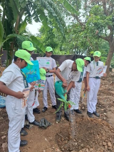 Plant a Tree, Plant a Future.